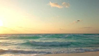 Turkuaz Karayip Denizi üzerinde gün doğumu Meksika 'da kumlu sahillerde dalgalar ve suyun üzerinde uçan pelikan.