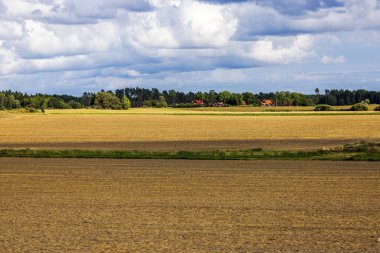 Hasat edilen bölgeleri ve büyüyen buğdayları olan tarımsal tarlalar, orman kenarındaki uzak villalar, yoğun bulutlu gökyüzüne karşı. İsveç.