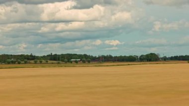 Bulutlu gökyüzünün altındaki tarım arazisi boyunca hareket halindeki araçtan görüntü. İsveç.