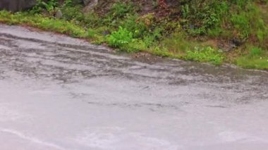 Şiddetli yağmur, yağmur damlaları ve yeşil çimenli tepenin olduğu asfalt yolların güzel manzarası. 
