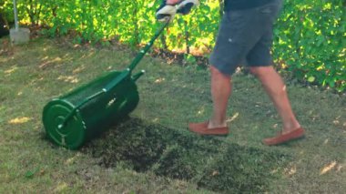 Bahçedeki çimlerin üzerinde toprak serpme rulosu kullanarak çimleri restore eden adamın yakın görüntüsü. İsveç.