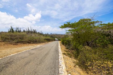 Scenic view of Aruba's Arikok National Park paved road through desert terrain, with hills and tropical vegetation.  clipart