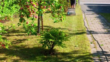 Sonbaharda bahçeden dökülen yaprakları ve döküntüleri temizlemek için elektrikli çim tırmığı kullanan bir adam. İsveç.