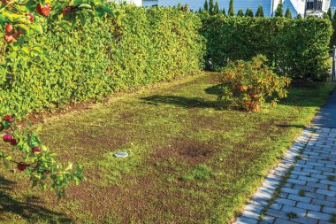 Villa arazisinde, çalılarla ve kaldırım yollarıyla çevrili rhododendron ve elma ağaçlarının yer aldığı taze toprak ve tohumlarla yenilenmiş çimenler. İsveç.