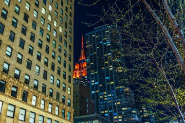 Empire State Binası 'nın güzel manzarası New York' taki yüksek şehir binaları arasında gece parlıyor..