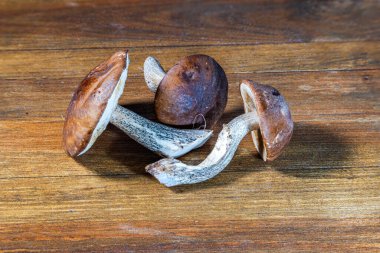 Tahta yüzeyde izole edilmiş boletus mantarlarının yakın görüntüsü.