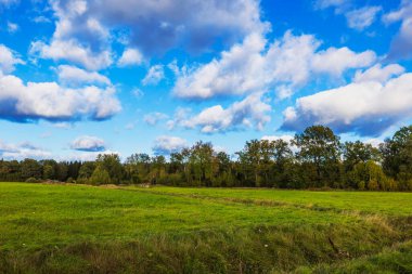 Ağaçların yeşil-sarı çimenli çayırların yanında sararmaya başladığı sonbaharın başlarında beyaz bulutlu mavi gökyüzüne karşı kurulmuş bir manzara. İsveç.