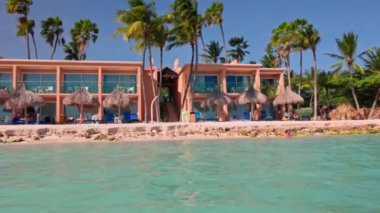 Karayip Denizi 'nden Aruba adasında kumlu bir sahil manzarası, dinlenme yerleri ve palmiye ağaçları olan bir otel.. 