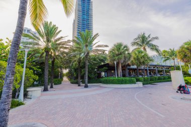 Manzaralı palmiye ağacı yolu ve Miami Beach 'teki Ocean Drive' da modern yüksek binalar. ABD. 