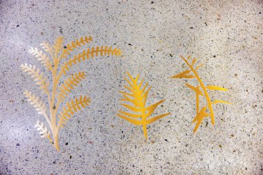 Miami havaalanının halka açık alanındaki terrazzo zemininde altın yaprak tasarımları..