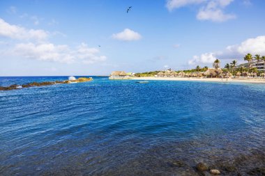Berrak mavi suları, palmiye ağaçları ve Curacao adasındaki sazdan kulübeleri olan güzel tropik plajlar..