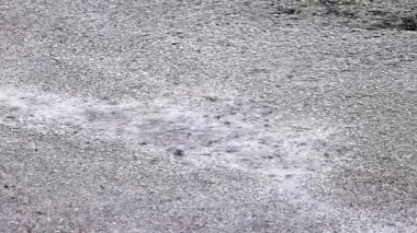 Şiddetli yağmur asfalta dökülür, yağmur damlaları yüzeye vurduğunda su birikintileri ve kabarcıklar yaratır..