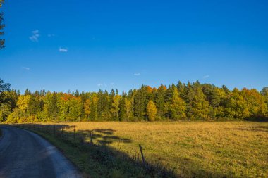 Renkli ağaçlarla dolu bir sonbahar ormanı ve açık mavi gökyüzünün altında boş bir toprak yol. İsveç.