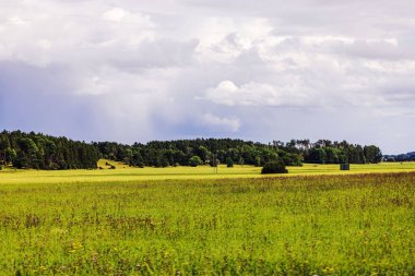 Ormanın ve bulutlu gökyüzünün arka planında yeşil tarlaları olan hareket halindeki bir arabanın yaz manzarası. İsveç.