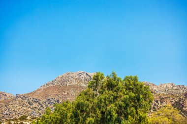Parlak mavi gökyüzünün altında yeşil ağaçlarla kaplı Rocky Dağı manzarası. Girit. Yunanistan.