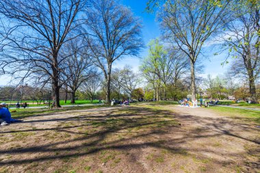 Central Park sahnesinde çıplak ağaçlar yere gölge düşürüyor, insanlar doğal çevreden zevk alıyor. - New York. ABD.