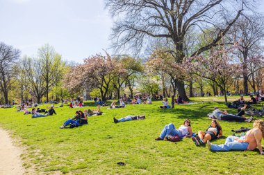 Central Park New York 'ta güneşli bir bahar gününde, çiçek açan ağaçlar ve canlı yeşilliklerle rahatlayan insanlar. - New York. ABD.