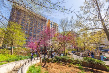 Central Park Antik Parkları 'nda çiçek açan ağaçlar ve şehir zeminiyle canlı bahar gününün tadını çıkaran ziyaretçiler. - New York. ABD.