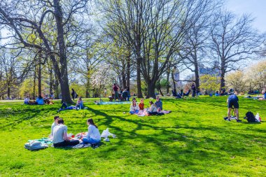 Parkta güneşli bir günün tadını çıkaran insanlar, arkadaşlarıyla çimenlerde dinleniyorlar, ilkbaharın başlarında ağaçlarla çevrili. - New York. ABD. 