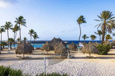 Palmiye ağaçları, sazdan kulübeleri ve Curacao 'da voleybol ağı olan tropik plaj.. 