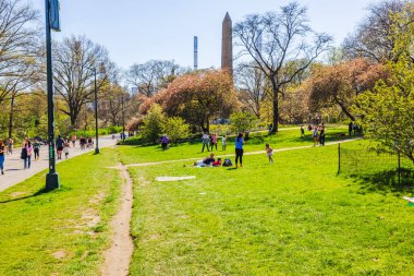 Central Park, New York 'ta güneşli bir bahar günü. İnsanlar dinleniyor ve arka planda Kleopatra' s Needle var. - New York. ABD. 
