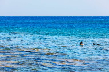 Snorkeler, Ege Denizi 'nin berrak mavi sularını keşfediyor. Rodos. Yunanistan.