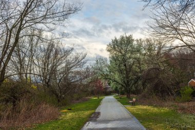 Sessiz New Jersey parkına giden yol ilkbaharın başlarında ağaçlar açar ve gökyüzü bulutludur..