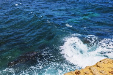 Karayipler 'deki canlı mavi dalgalar Aruba' nın kayalık kıyılarına çarpıyor.. 