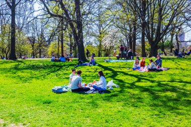 İnsanlar New York, Central Park 'taki yemyeşil çimlerde piknik ve rahatlıkla güneşli bir günün tadını çıkarıyorlar. - New York. ABD. 