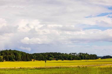 Parlak yeşil ve sarı tarlaları, uzak ormanı ve bulutlu gökyüzü olan kırsal alan. İsveç.
