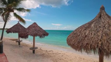 Ağaçlarla kaplı, sazdan şemsiyeli, kumlu plajlı ve bulutlu gökyüzü arka planına karşı Karayip Denizi 'nin turkuaz suları olan bir yer. Aruba.