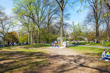 Central Park 'ta insanlar piknikten ve çimlerde dinlenmekten keyif alıyor. Etrafı uzun bahar ağaçları ve güneşli mavi gökyüzünün altında canlı yeşilliklerle çevrili. - New York. ABD. 