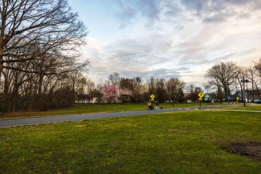 New Jersey 'de çiçek açan kiraz ağaçları, yeşil çimenler, patika yolları ve gezinen insanlarla dolu manzaralı bir bahar parkı manzarası. New Jersey 'de. ABD. 