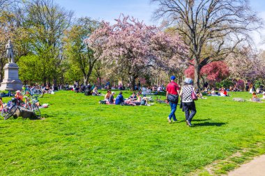 İnsanlar Central Park 'ta güneşli bir bahar gününde çiçek açan kiraz ağaçları ve canlı yeşilliklerle çevrili bir heykelle dinleniyorlar. - New York. ABD.