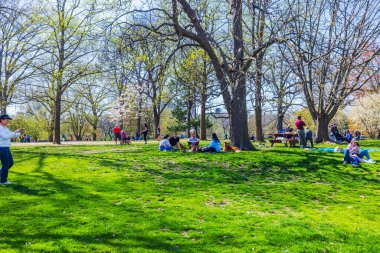 Baharda güneşli Central Park 'ta yeşil çimlerde dinlenen insanlar çiçek açan ağaçlar ve doğa ile çevrili. - New York. ABD.