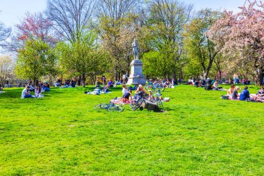 İnsanlar baharda Central Park, New York City 'de yeşil çimlerde dinlenirken, arka planda ağaçlar, heykeller ve bisikletlerle. - New York. ABD. 