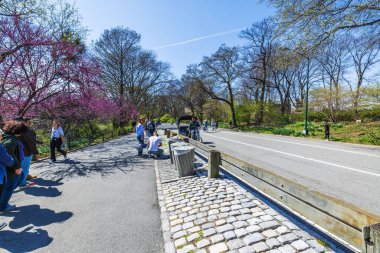 Central Park 'ta insanların yürüdüğü, bisiklete bindiği ve açık mavi gökyüzünün altında ağaçların tadını çıkardığı manzaralı bir bahar günü. - New York. ABD. 