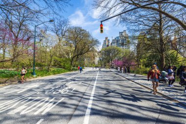 İnsanlar Central Park 'ta ağaçlar ve canlı yeşilliklerle çevrili koşu yapıyor, yürüyor ve güneşli bir bahar gününün tadını çıkarıyor. - New York. ABD. 