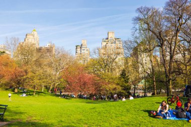Çiçek açan ağaçları olan yemyeşil çimenler ve güneşli bahar gününde Central Park, New York 'ta dinlenen insanlar. - New York. ABD.