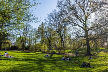 Central Park 'ta bahar ağaçlarının altında yeşil çimlerde dinlenen insanlar uzun gölgeler ve şehrin ufuk çizgisi ile güneş ışığı görülebiliyor. - New York. ABD. 