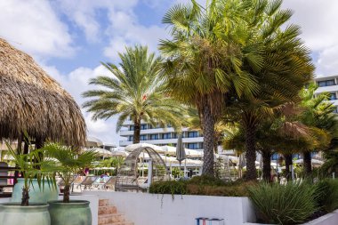 Hindistan cevizi palmiyeleri, sazdan kulübeleri, güneş pansiyonları ve modern mimarisi olan havuz kenarındaki otel alanı.. 