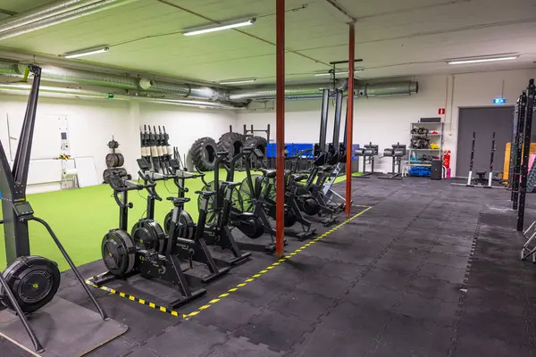 Sabit bisikletler, kardiyo ekipmanları, egzersiz makineleri ve traktör lastikleri olan modern spor salonu. İsveç. 