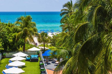 Atlantik Okyanusu manzarası. Palmiye ağaçları, plaj şemsiyeleri ve Miami Plajı 'ndaki otel avlusu..