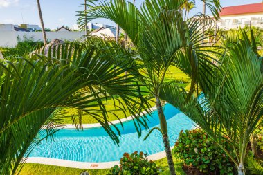 Parlak tropik güneş ışığı altında, kıvrımlı yüzme havuzuna bakan otelin palmiye ağaçları ve yemyeşil bahçesi. Punta Cana. Dominik Cumhuriyeti. 