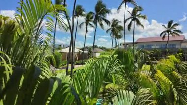 Punta Cana otelinde, rüzgarda sallanan palmiye ağaçları ve mavi gökyüzünde yavaşça süzülen bulutlar. Punta Cana. Dominik Cumhuriyeti.