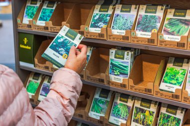 Bahçe vitrinindeki sebze ve bitki tohumlarını seçerken elinde tohum paketi tutan kadın..