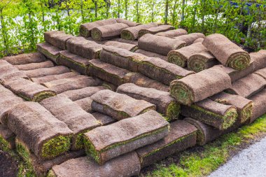Baharda bahçe düzenlemesi için hazırlanmış çim rulolarının yakın görüntüsü. İsveç.