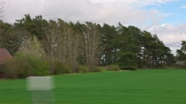 Kırmızı ahşap evin hareket halindeki araba penceresinden, yeşil tarladan ve kırsal alanda yaylı ağaçlardan gelen bulanık bir görüntü. İsveç.