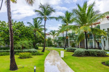 Yağmurdan sonra bulutlu gökyüzü ve palmiye ağaçları ile tropik tatil köyü bahçesinde ıslak taş yürüyüş. Punta Cana. Dominik Cumhuriyeti.