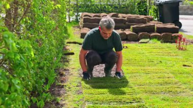 Güneşli bahar gününde arka bahçeye eldiven ve botlarla çimen döşeyen bir adam. İsveç.